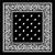Black-Bandanna