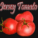Jersey Tomato