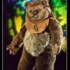 RabEd Ewok